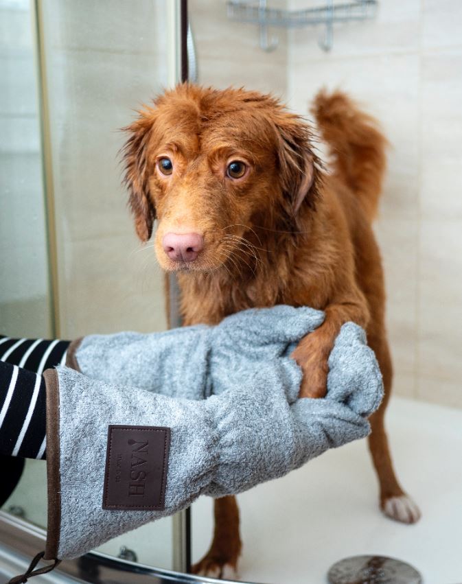 picture of a dog bathing and towel drying by a professional